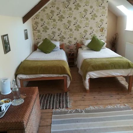Y Garreg Wen Bed and Breakfast Llanybyther Εξωτερικό φωτογραφία