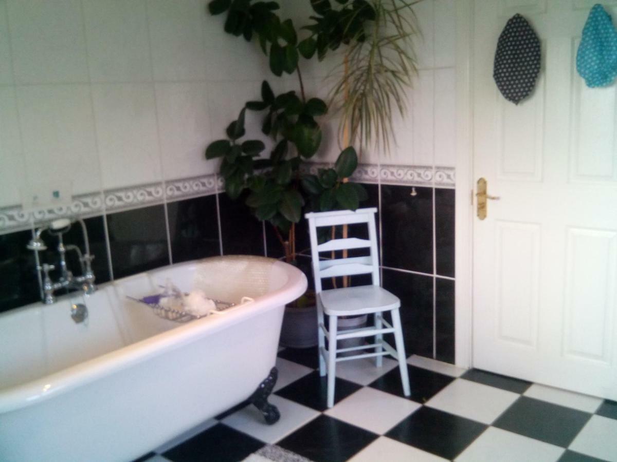 Y Garreg Wen Bed and Breakfast Llanybyther Εξωτερικό φωτογραφία