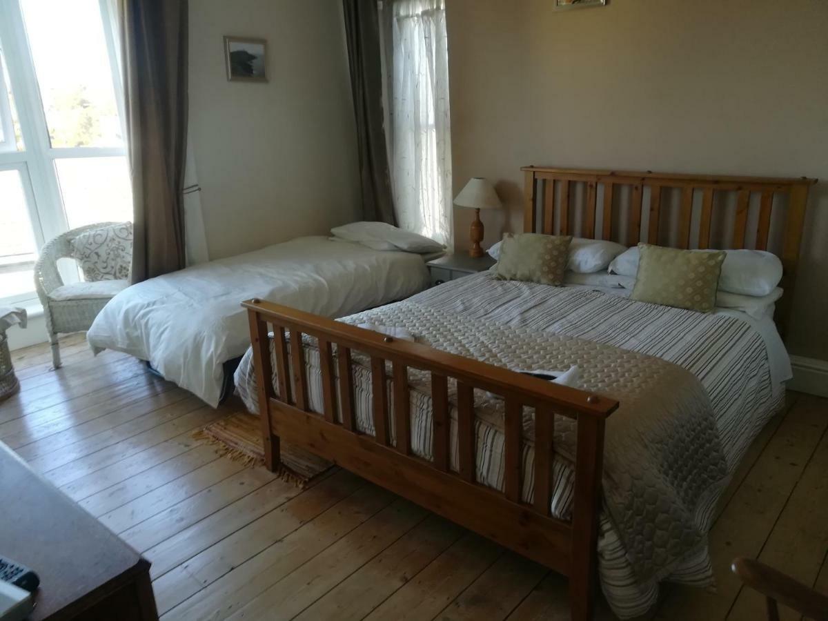 Y Garreg Wen Bed and Breakfast Llanybyther Εξωτερικό φωτογραφία