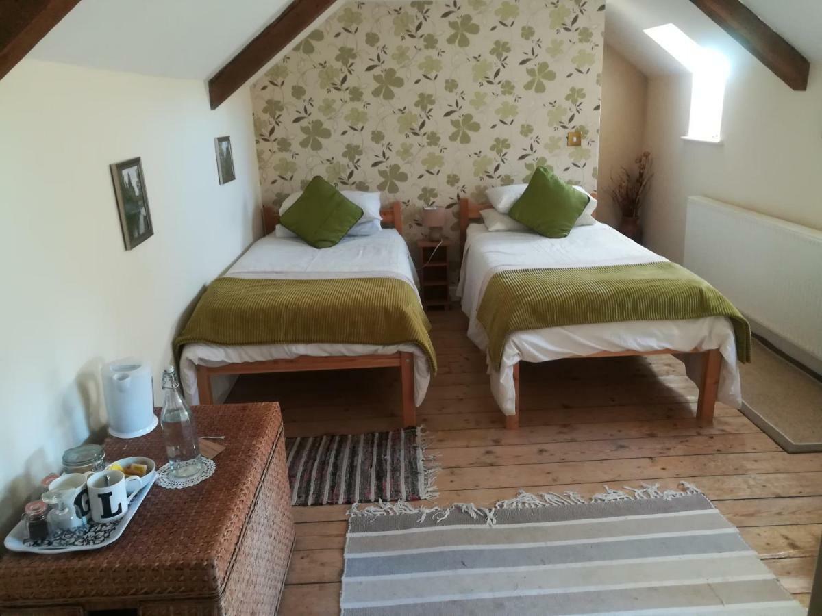 Y Garreg Wen Bed and Breakfast Llanybyther Εξωτερικό φωτογραφία