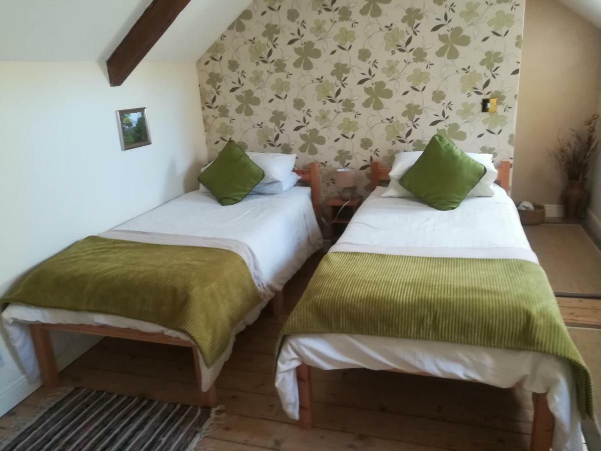 Y Garreg Wen Bed and Breakfast Llanybyther Εξωτερικό φωτογραφία