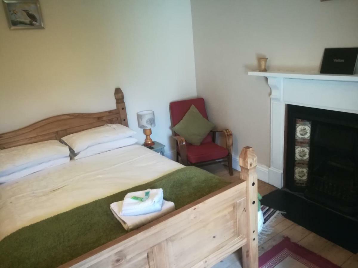 Y Garreg Wen Bed and Breakfast Llanybyther Εξωτερικό φωτογραφία