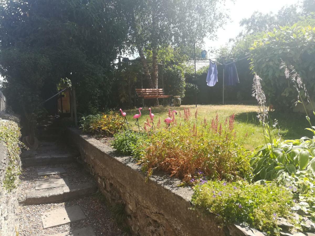 Y Garreg Wen Bed and Breakfast Llanybyther Εξωτερικό φωτογραφία