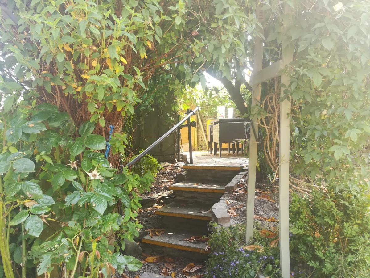 Y Garreg Wen Bed and Breakfast Llanybyther Εξωτερικό φωτογραφία